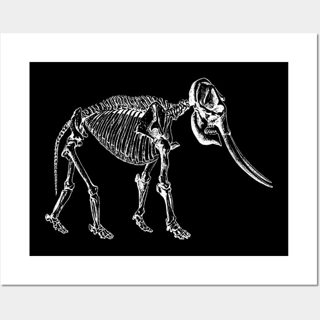 Elephant Skeleton Wall Art by tommartinart